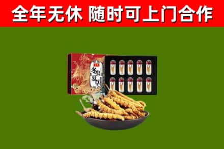 高邑县回收冬虫夏草价格
